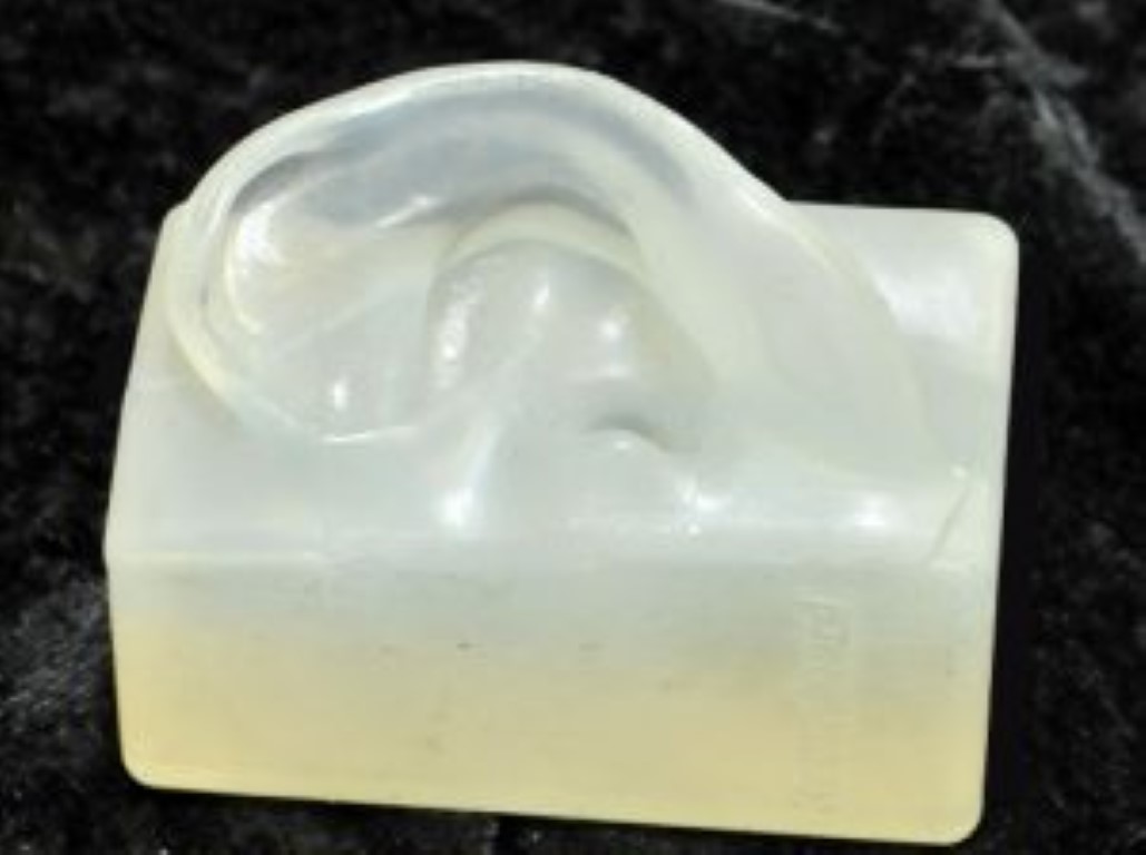 E D Engineering Silicon Model of Human Ear